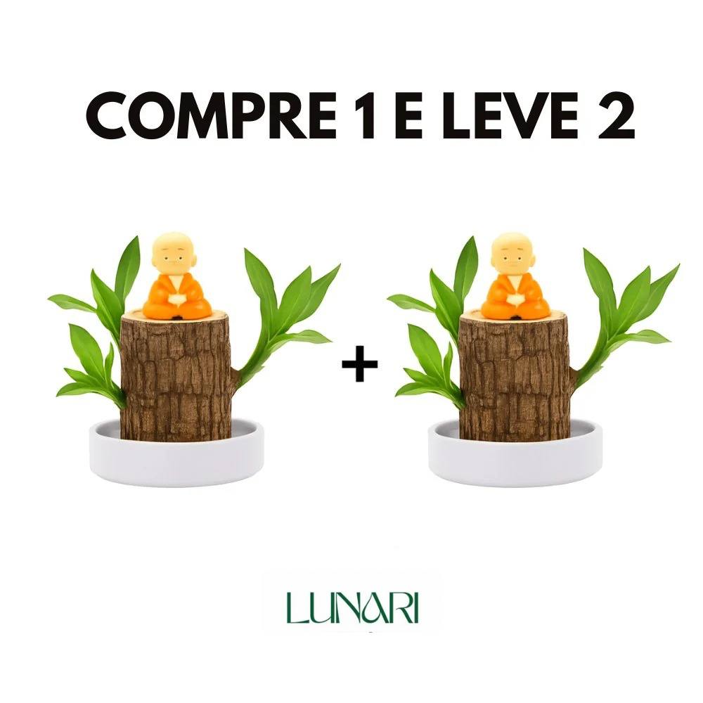 Madeira Brasil Planta da Sorte + Monge de Brinde (COMPRE 1 LEVE 2)